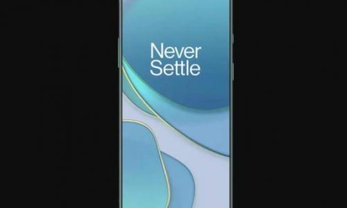 OnePlus, Bu Yıl OnePlus 8T Pro İsimli Bir Telefon Modeli Tanıtmayacak