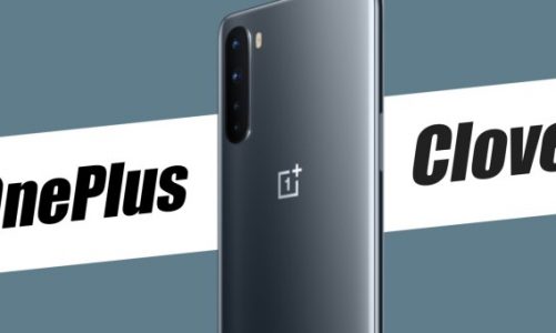 OnePlus, 6.000mAh Bataryalı Giriş Seviyesi Akıllı Telefon Tanıtacak